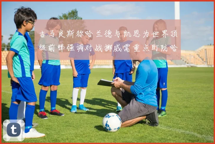 吉马良斯称哈兰德与凯恩为世界顶级前锋强调对战挪威需重点盯防哈兰德